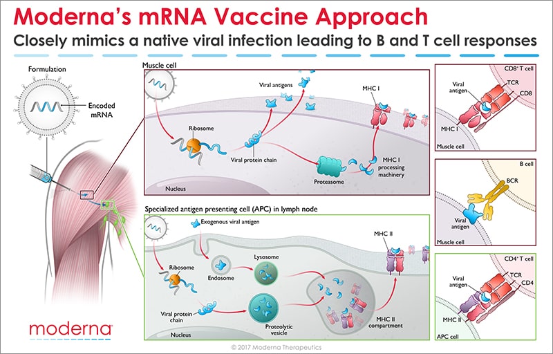 moderna_vaccine_approach2.jpg
